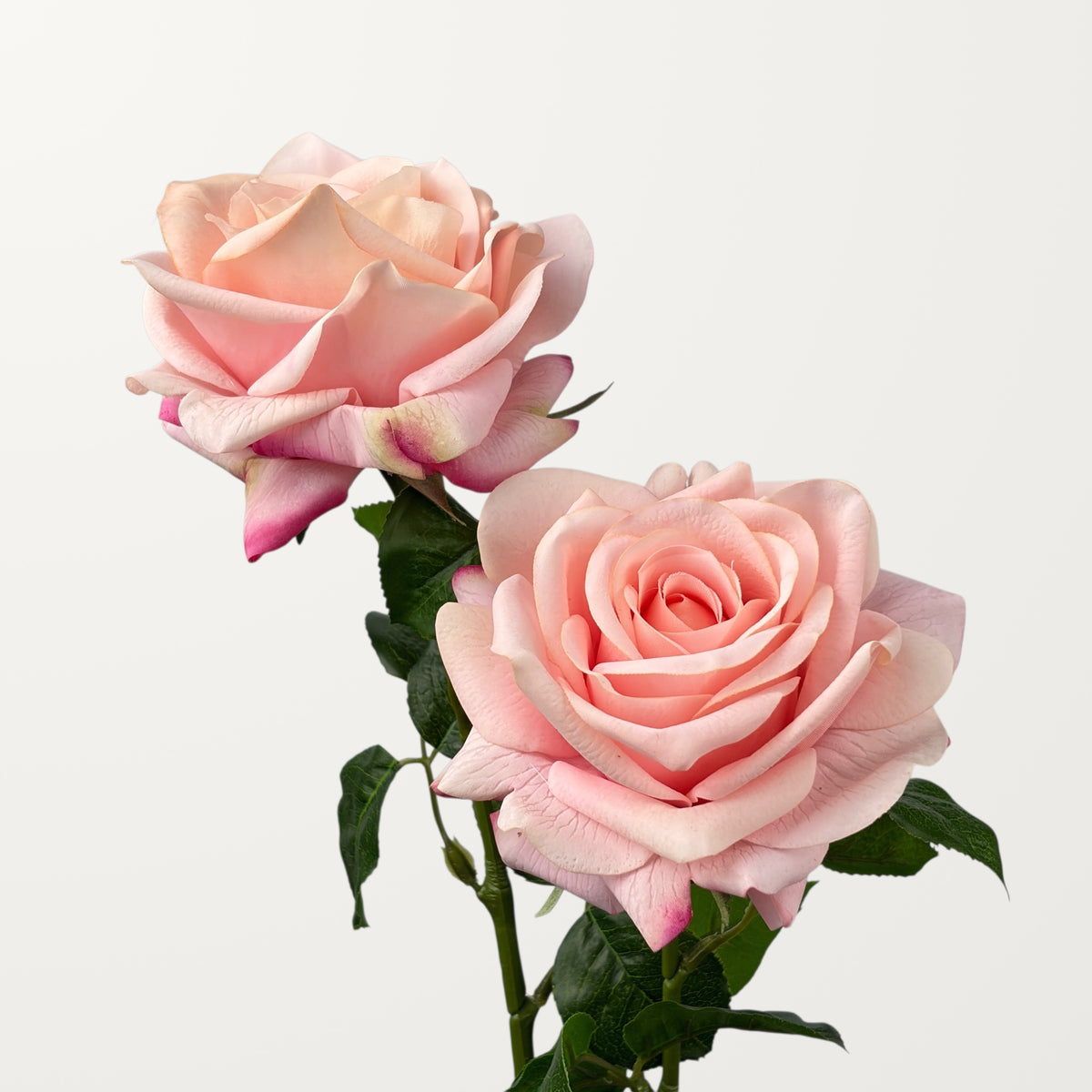 Ocean Song Rose – Blush Pink (Real Touch) - view 2
