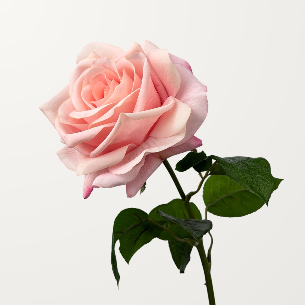 Ocean Song Rose – Blush Pink (Real Touch)