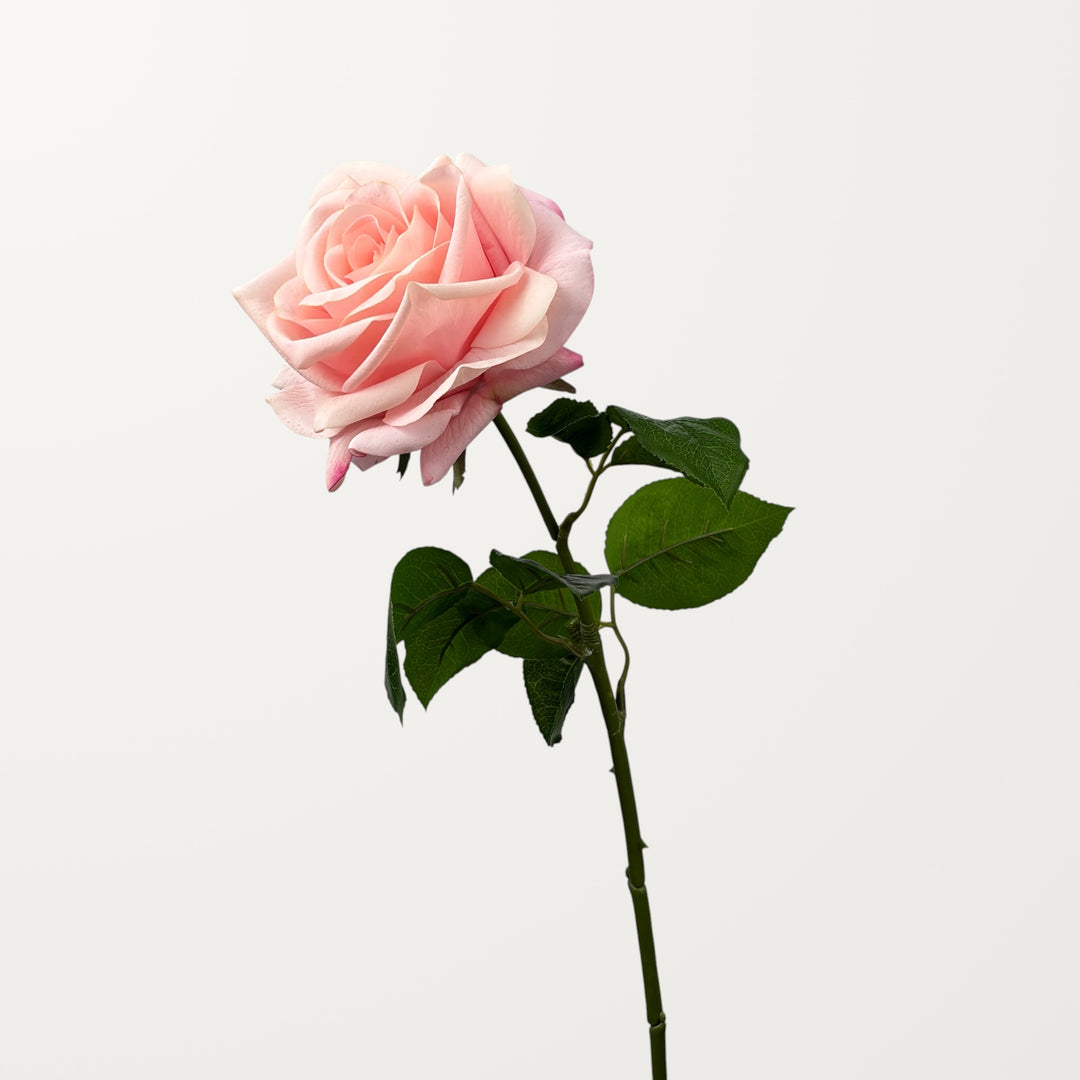 Ocean Song Rose – Blush Pink (Real Touch) - view 3