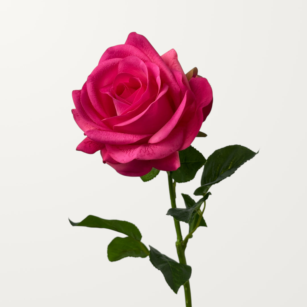 Ocean Song Rose – Hot Pink (Real Touch)