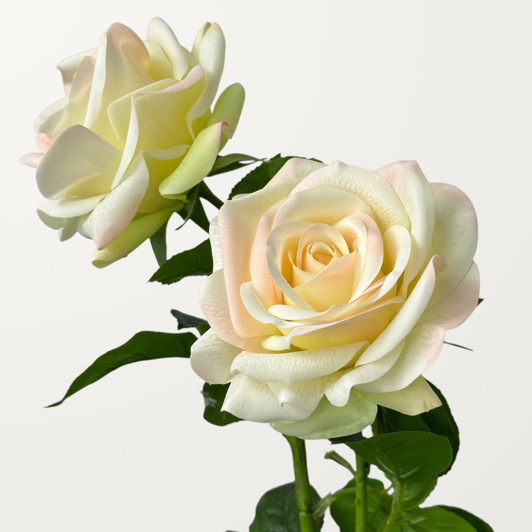 Ocean Song Rose – Ivory Green (Real Touch) - view 2