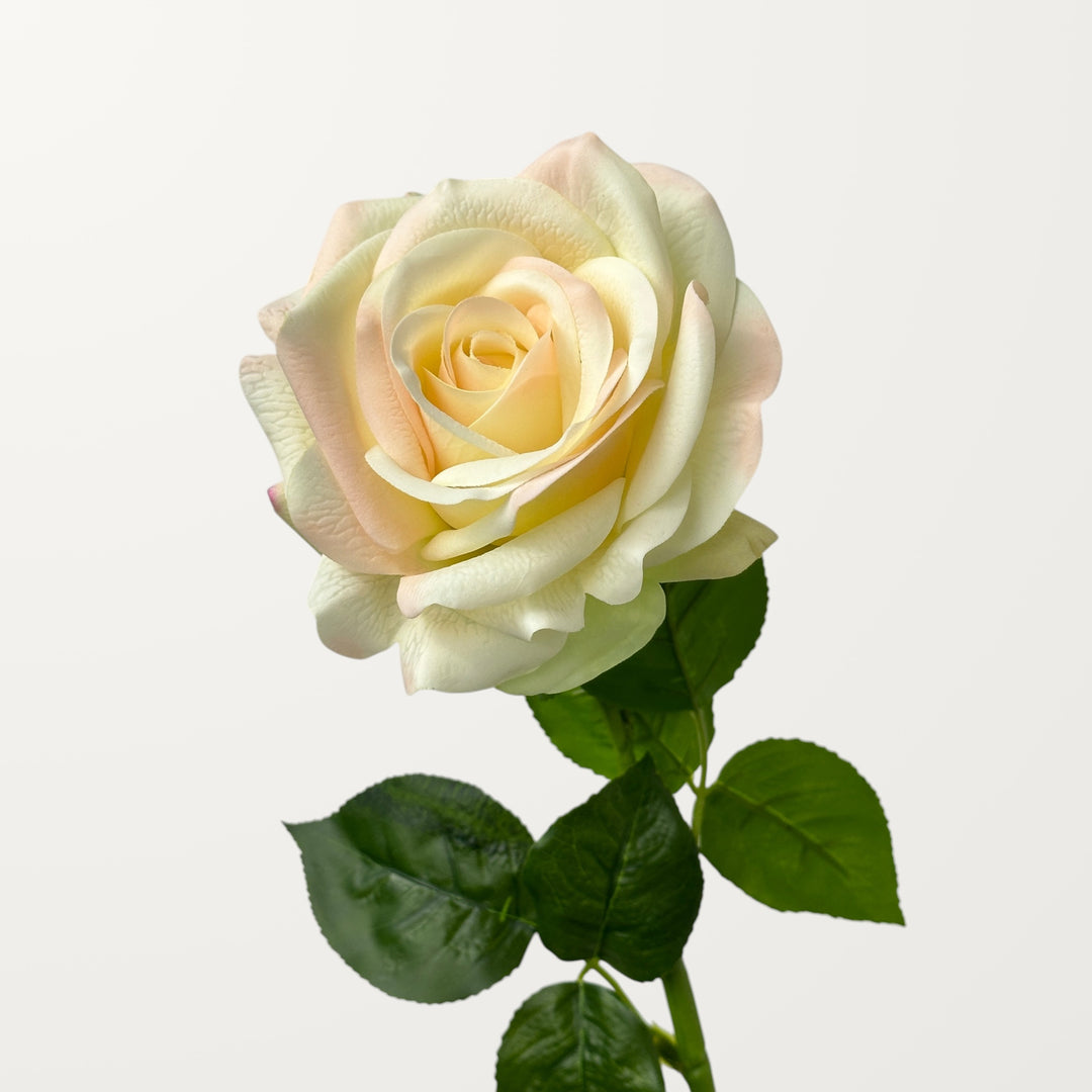 Ocean Song Rose – Ivory Green (Real Touch)