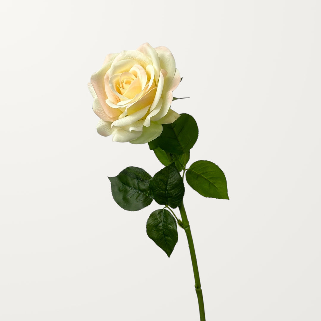 Ocean Song Rose – Ivory Green (Real Touch) - view 3