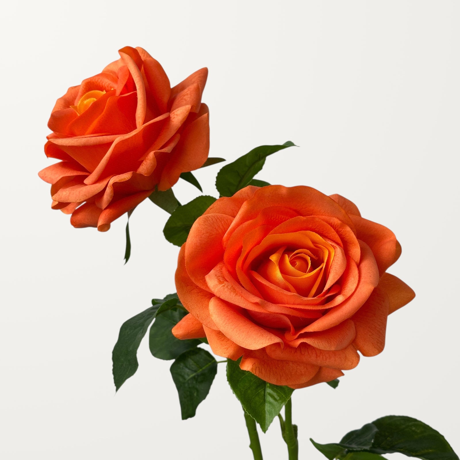 Ocean Song Rose – Orange (Real Touch) - view 2