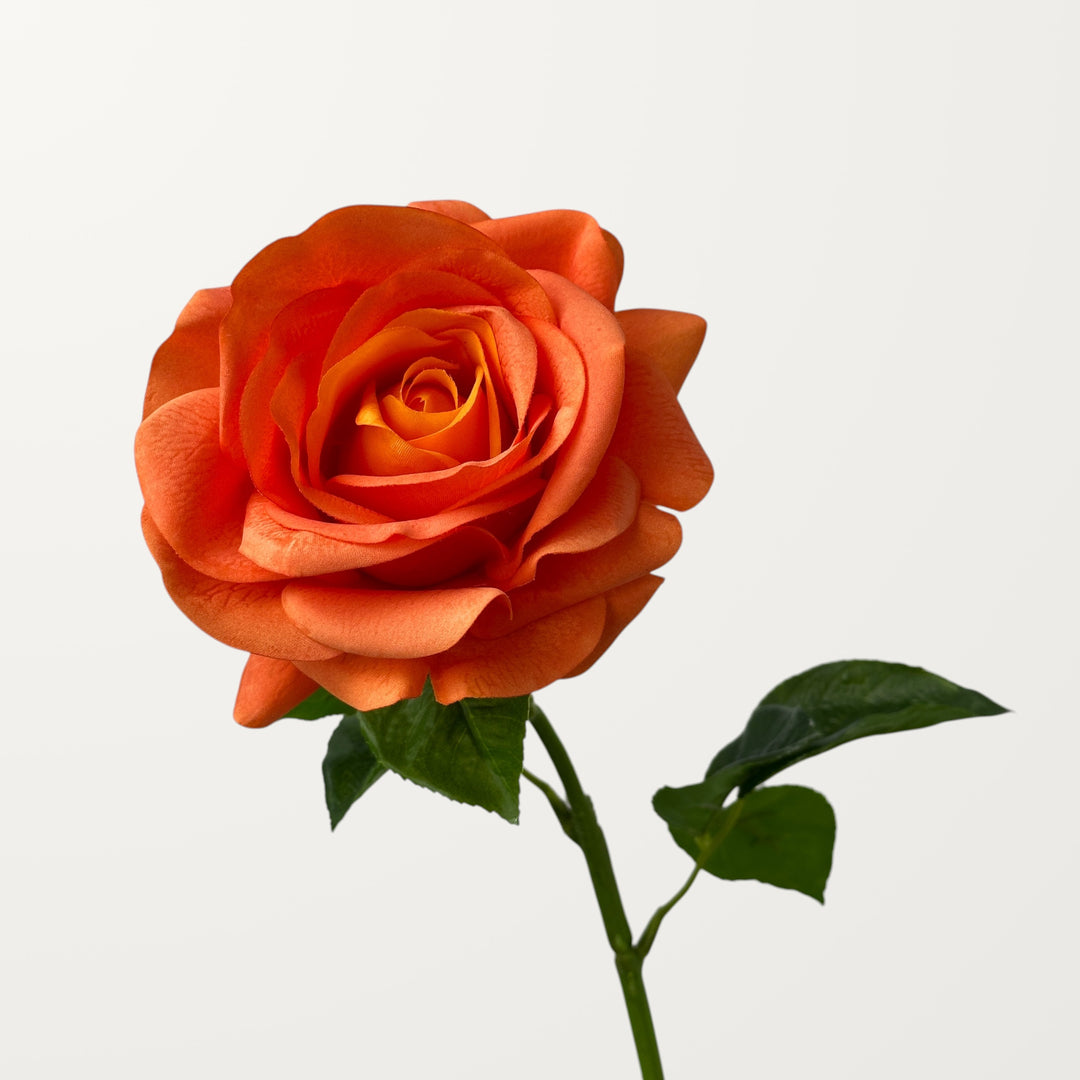 Ocean Song Rose – Orange (Real Touch)