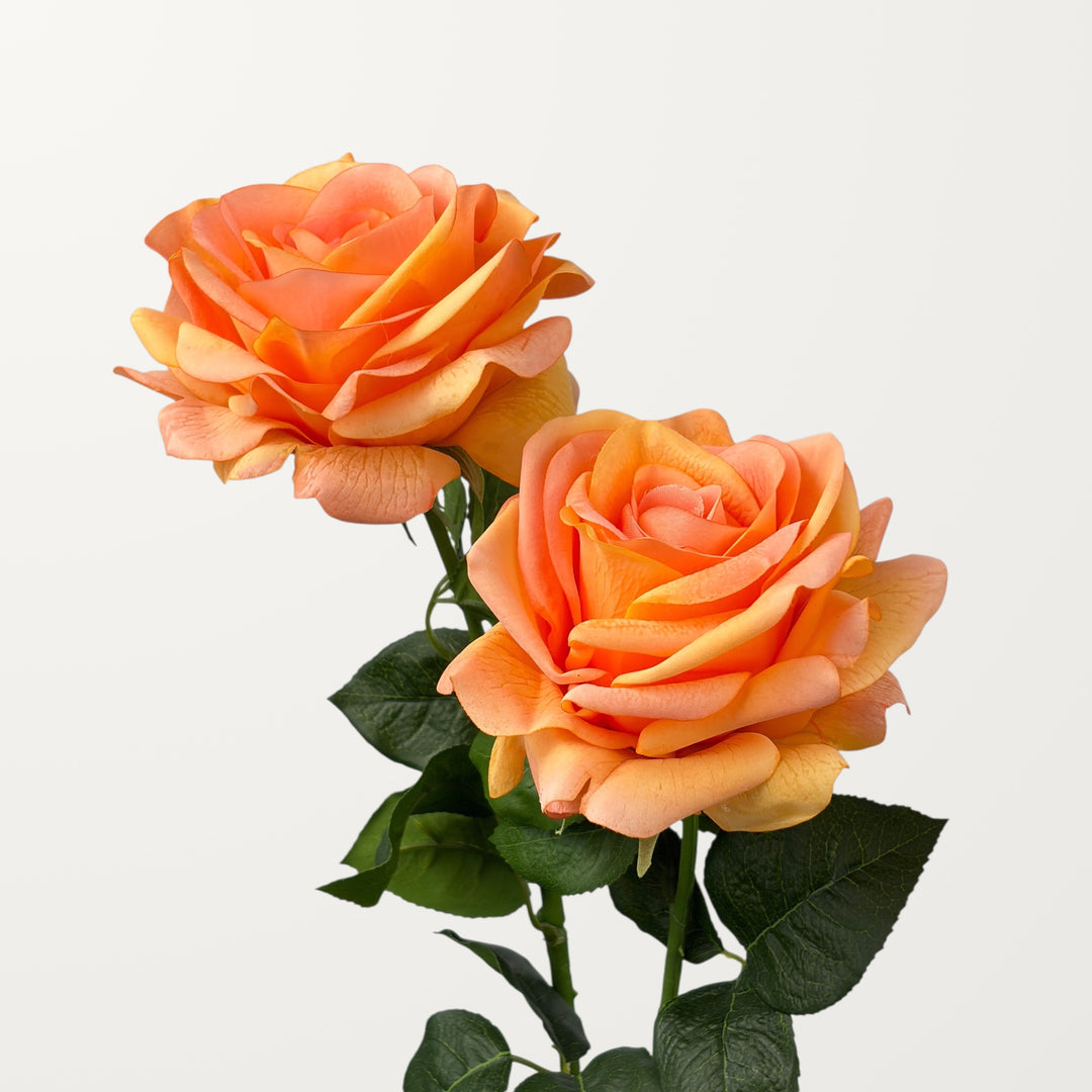 Ocean Song Rose – Peach Orange (Real Touch) - view 2
