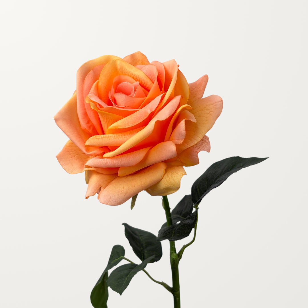 Ocean Song Rose – Peach Orange (Real Touch)