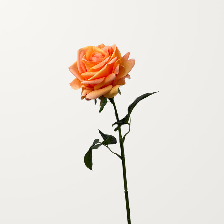 Ocean Song Rose – Peach Orange (Real Touch) - view 3