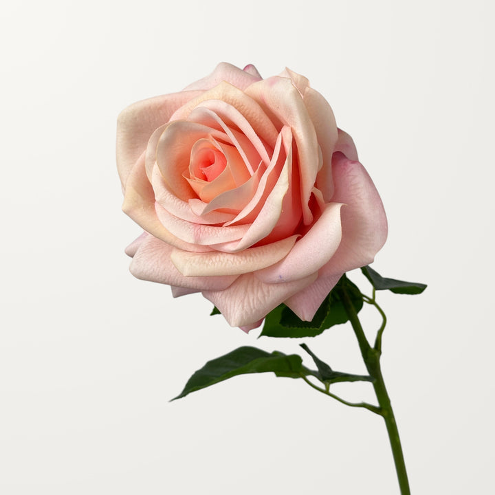 Ocean Song Rose – Soft Pink (Real Touch)