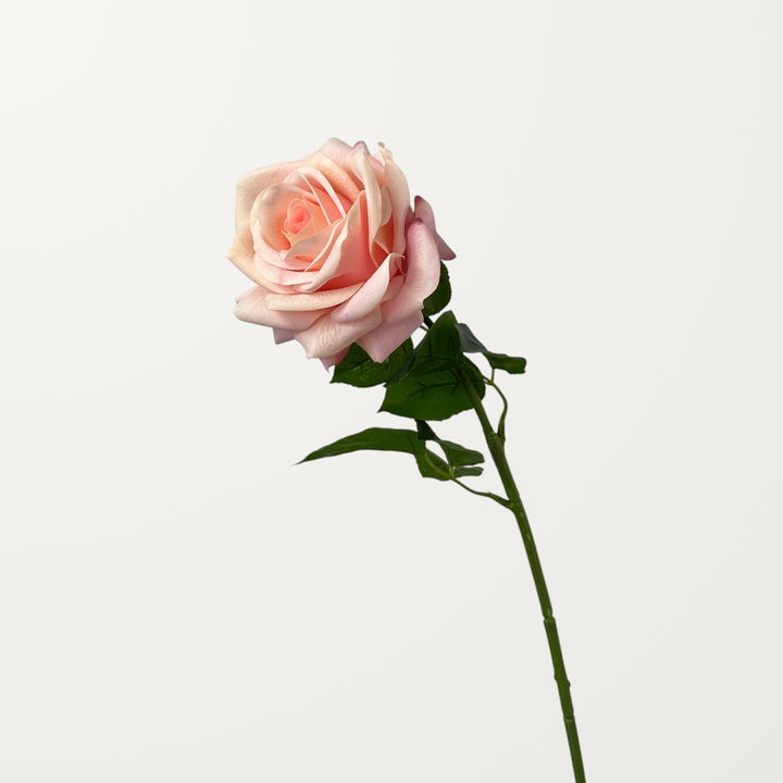 Ocean Song Rose – Soft Pink (Real Touch) - view 3