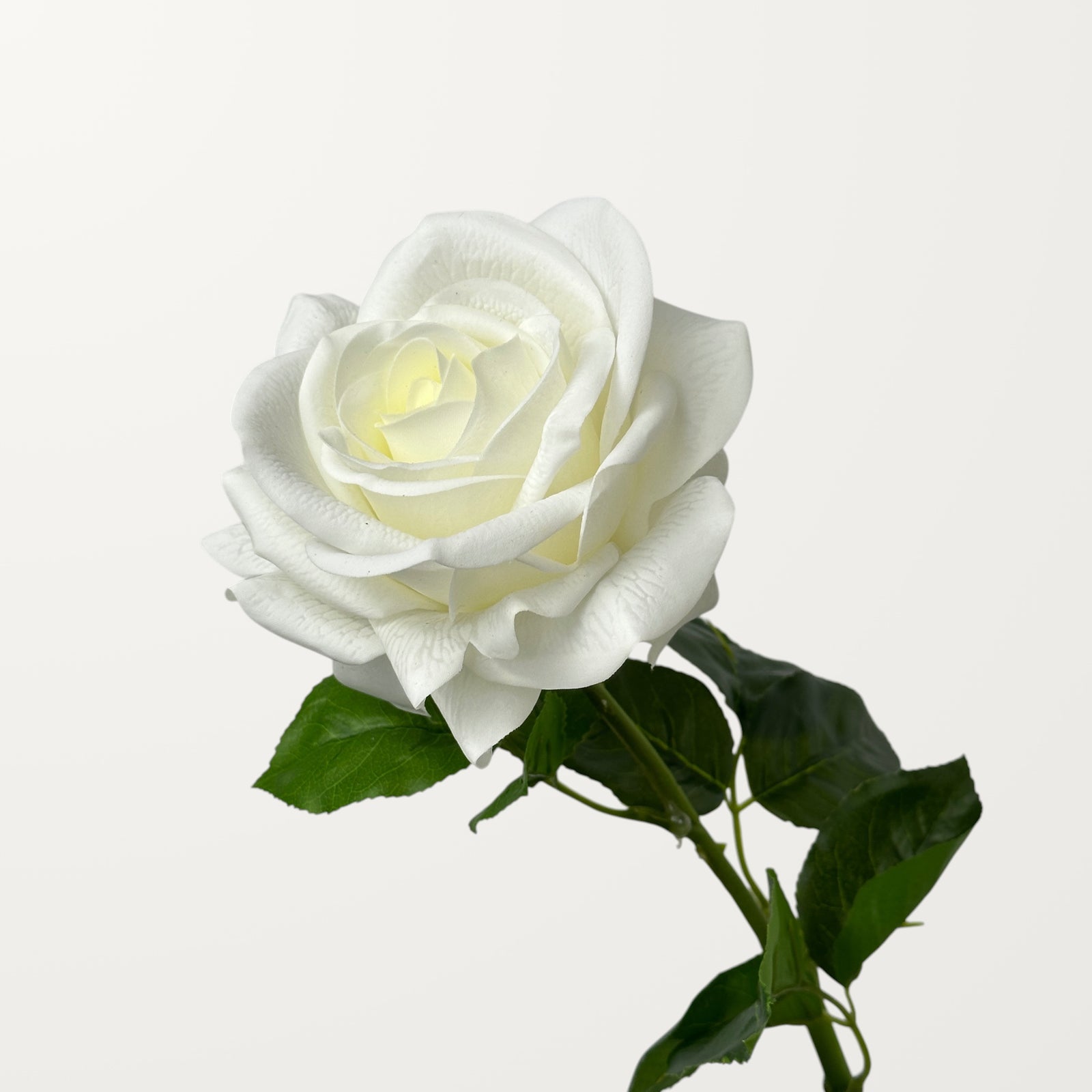 Ocean Song Rose – White (Real Touch)
