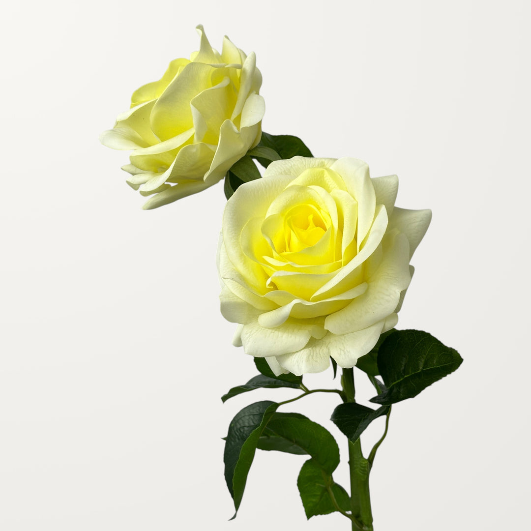 Ocean Song Rose – Yellow (Real Touch) - view 2