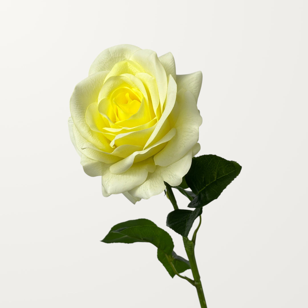 Ocean Song Rose – Yellow (Real Touch)