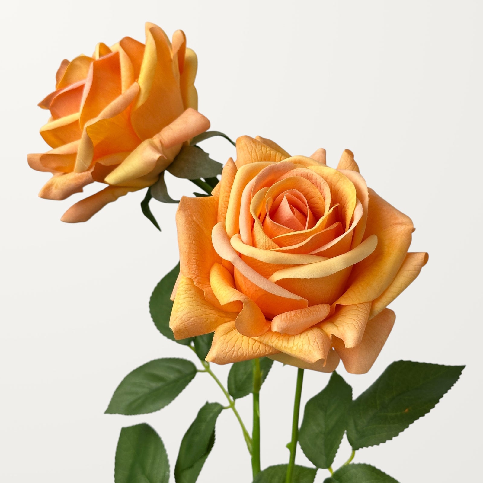Turkish Rose – Apricot (Real Touch) - view 2
