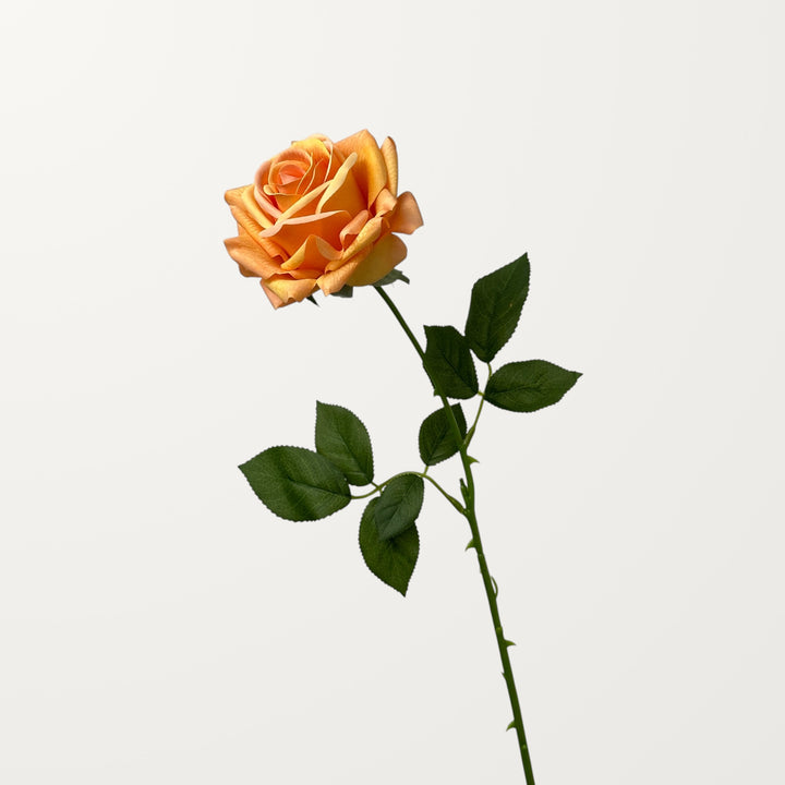 Turkish Rose – Apricot (Real Touch) - view 3