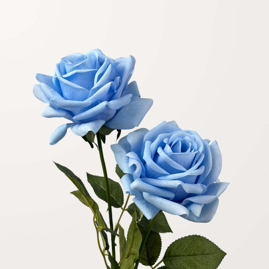 Turkish Rose – Cornflower Blue (Real Touch) - view 2