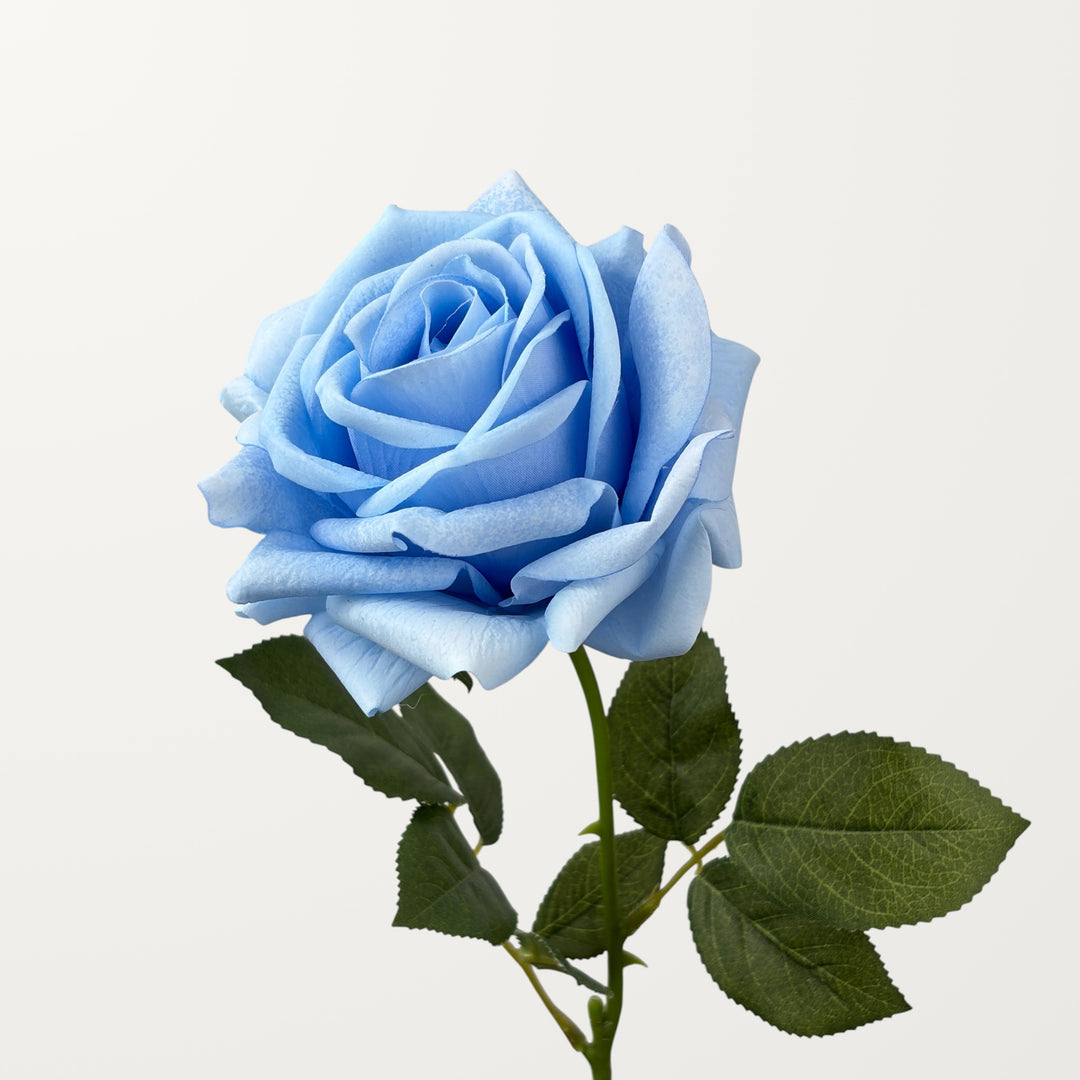 Turkish Rose – Cornflower Blue (Real Touch)