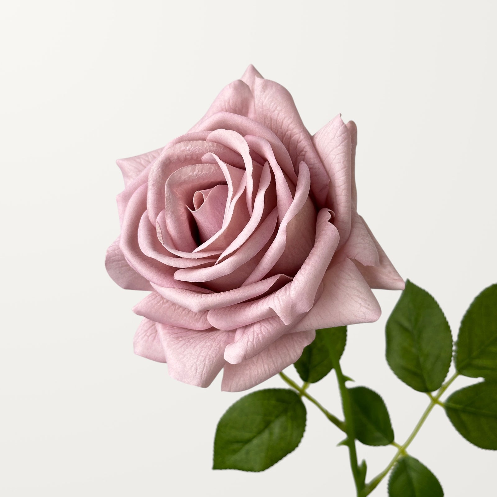 Turkish Rose – Dusty Pink (Real Touch)