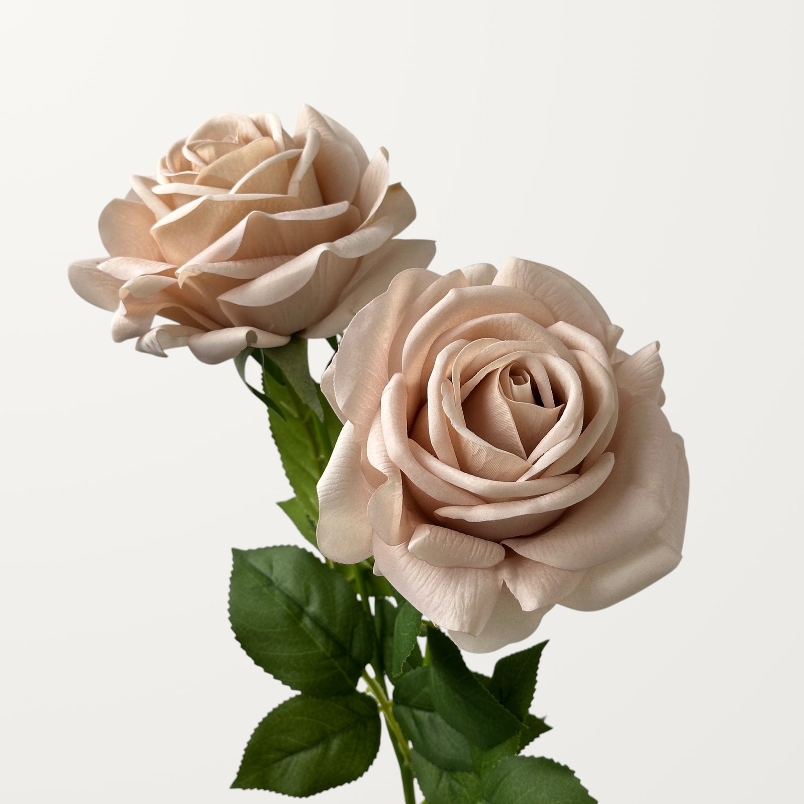 Turkish Rose – Latte (Real Touch) - view 2