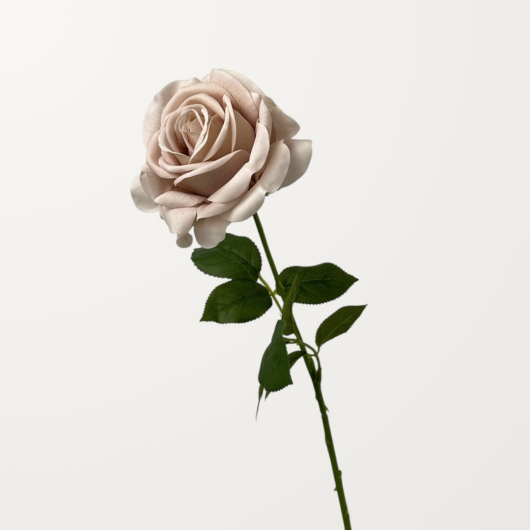 Turkish Rose – Latte (Real Touch) - view 3