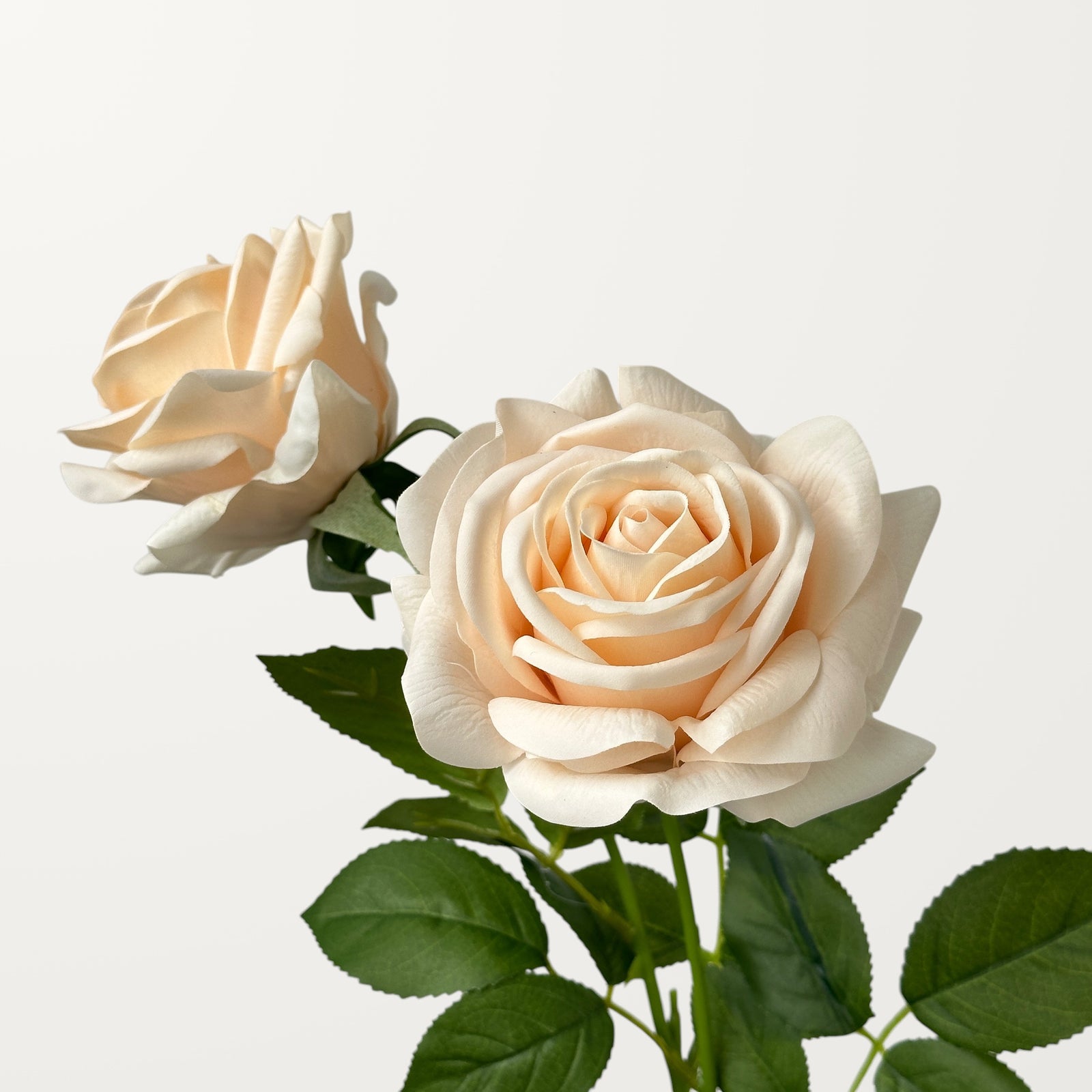 Turkish Rose – Peach Orange (Real Touch) - view 2