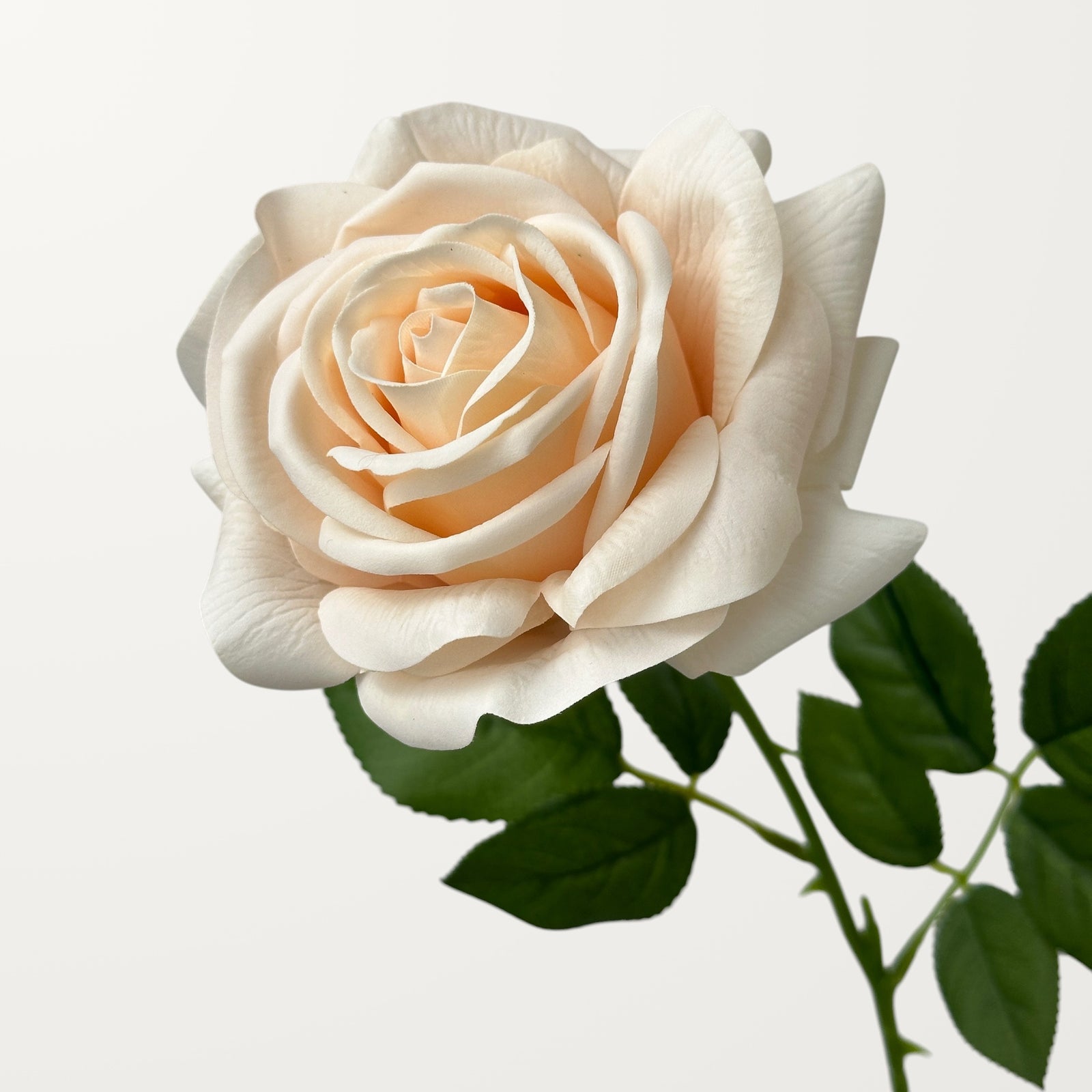 Turkish Rose – Peach Orange (Real Touch)