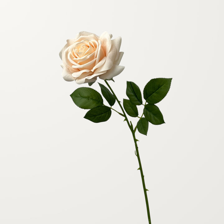 Turkish Rose – Peach Orange (Real Touch) - view 3