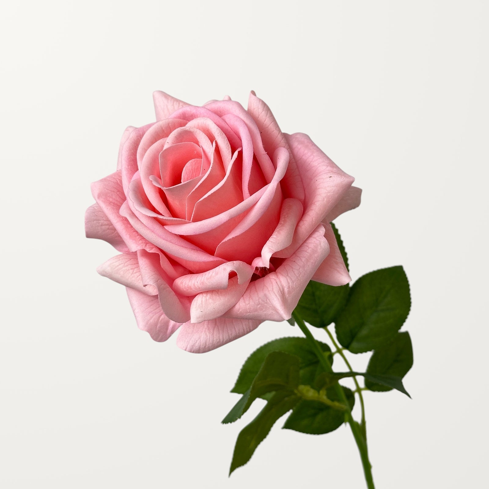 Turkish Rose – Pink (Real Touch)