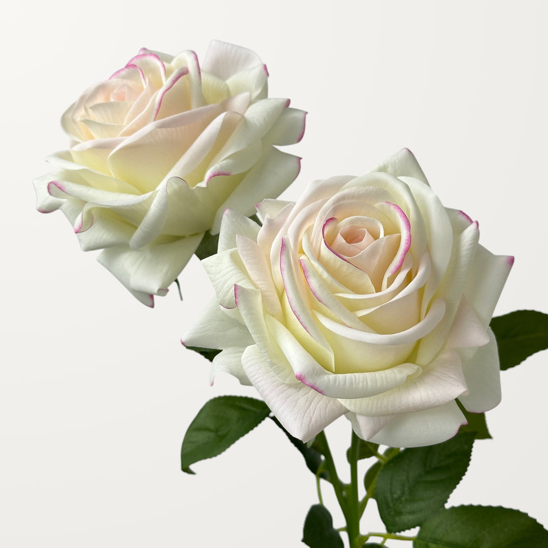 Turkish Rose – White Pink (Real Touch) - view 2