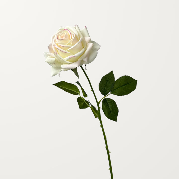 Turkish Rose – White Pink (Real Touch) - view 3
