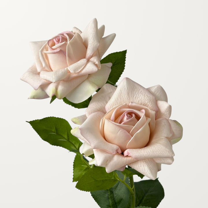 Garden Rose – Blush Pink (Real Touch)