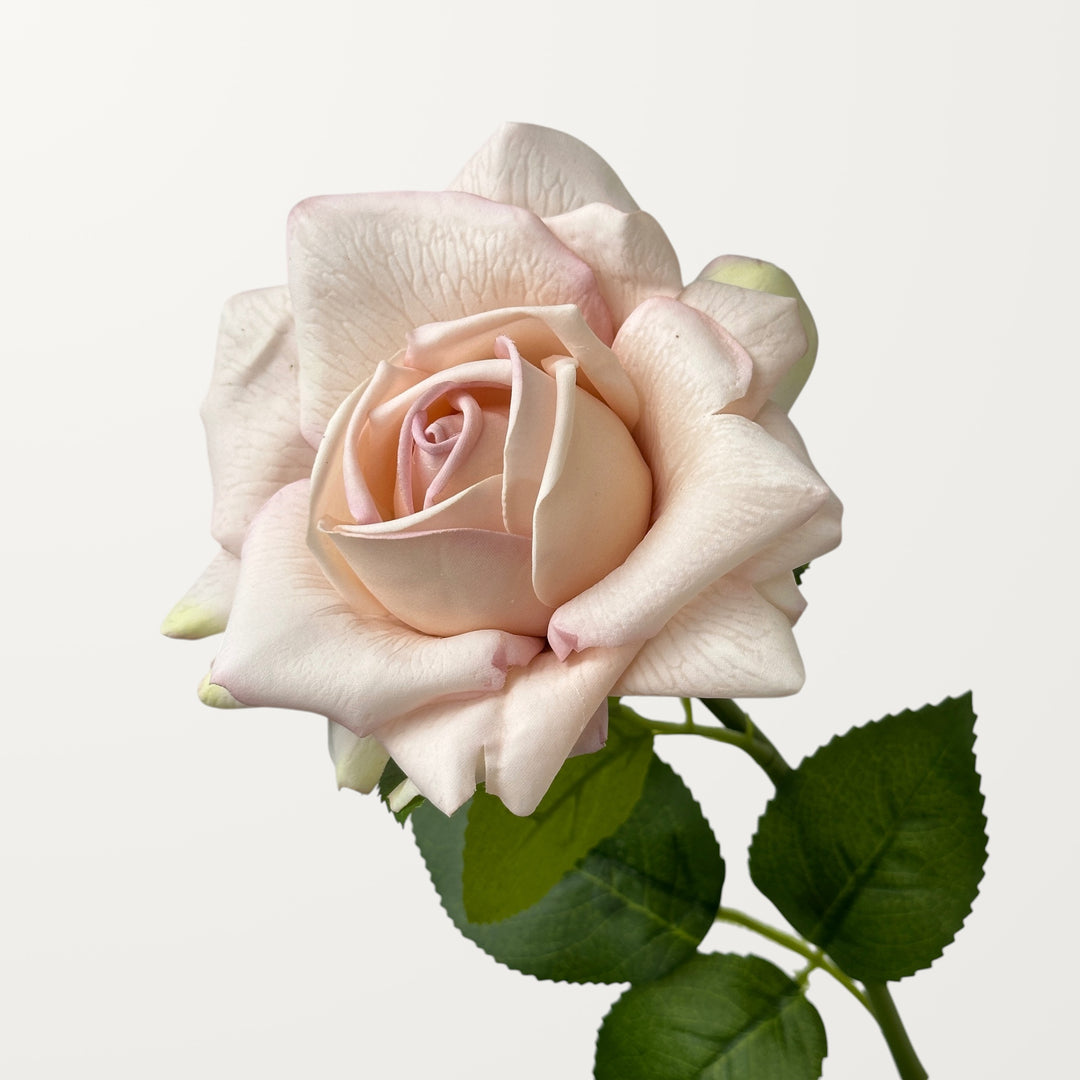 Garden Rose – Blush Pink (Real Touch)
