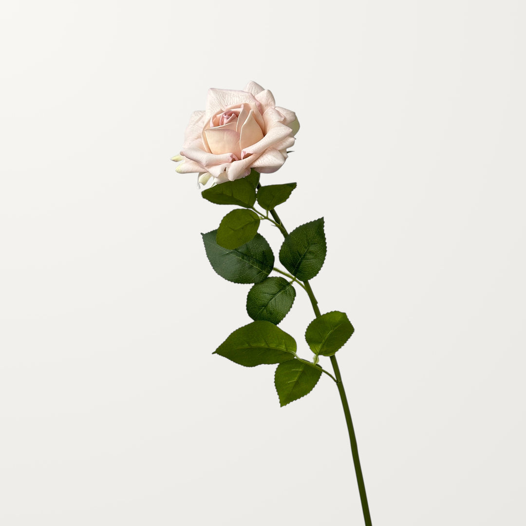 Garden Rose – Blush Pink (Real Touch)