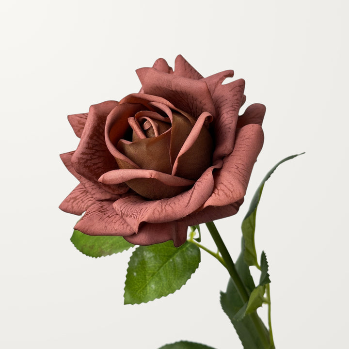 Garden Rose – Clay Brown (Real Touch)