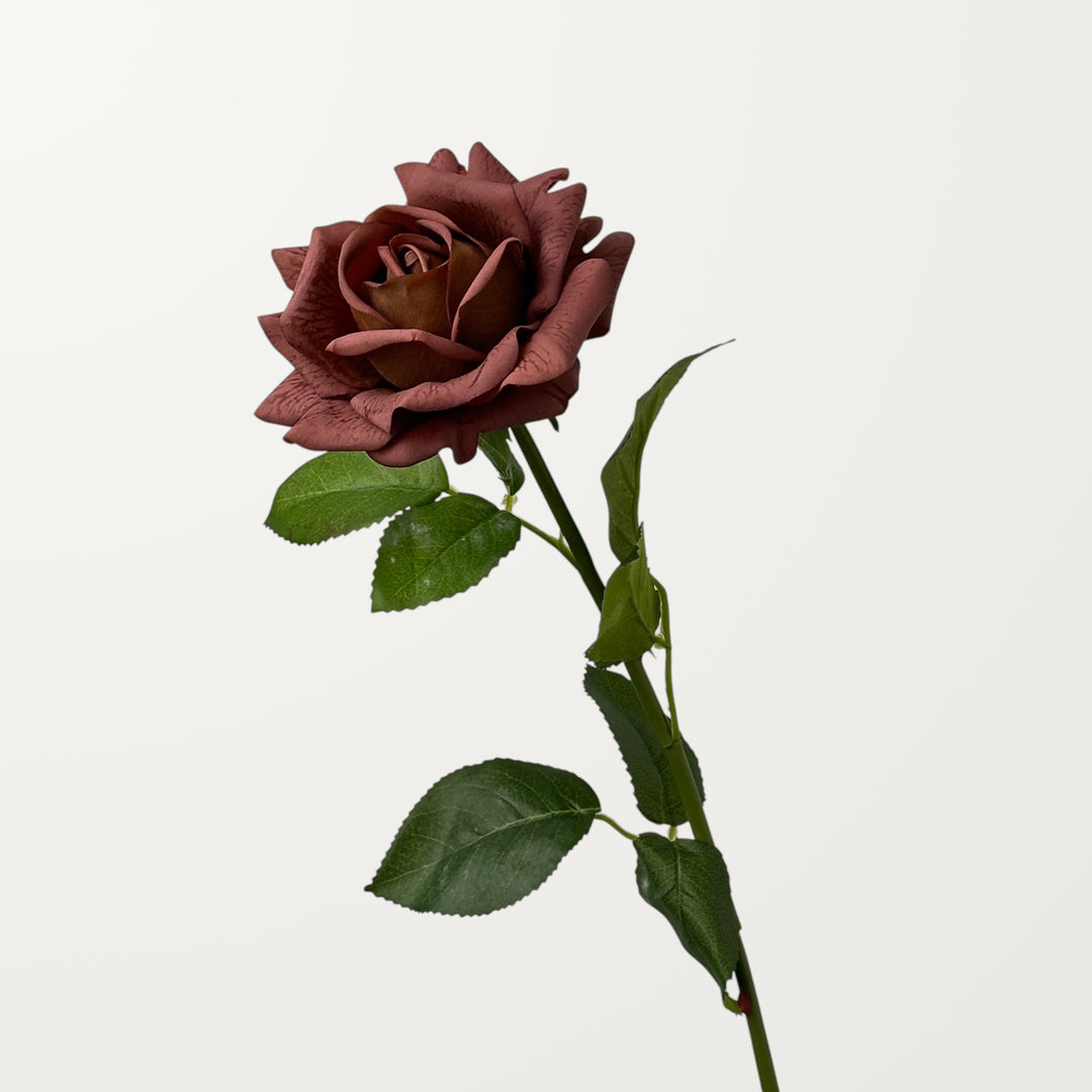 Garden Rose – Clay Brown (Real Touch)