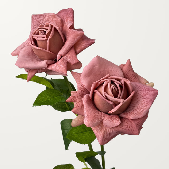 Garden Rose – Rosewood (Real Touch)