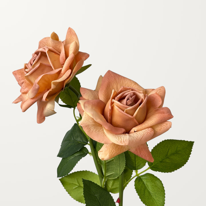 Garden Rose – Soft Apricot (Real Touch)