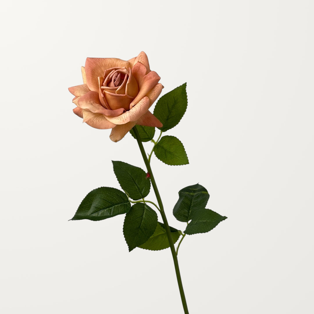 Garden Rose – Soft Apricot (Real Touch)