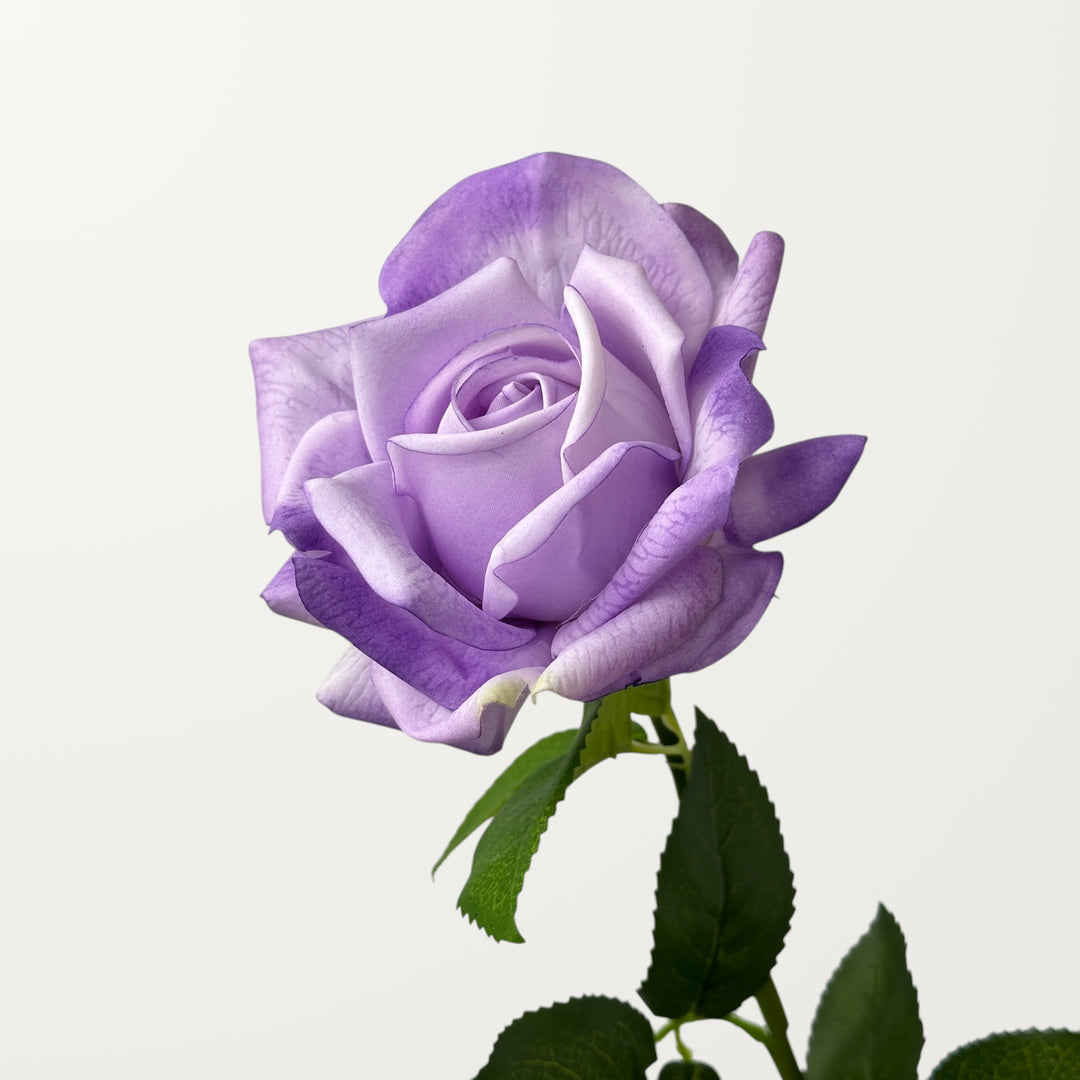 Garden Rose – Soft Lavender (Real Touch)