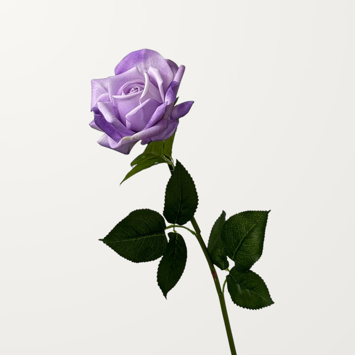 Garden Rose – Soft Lavender (Real Touch)