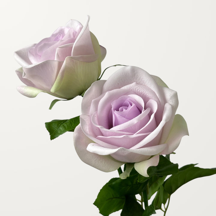 Carola Rose – Soft Lavender (Real Touch) - view 2