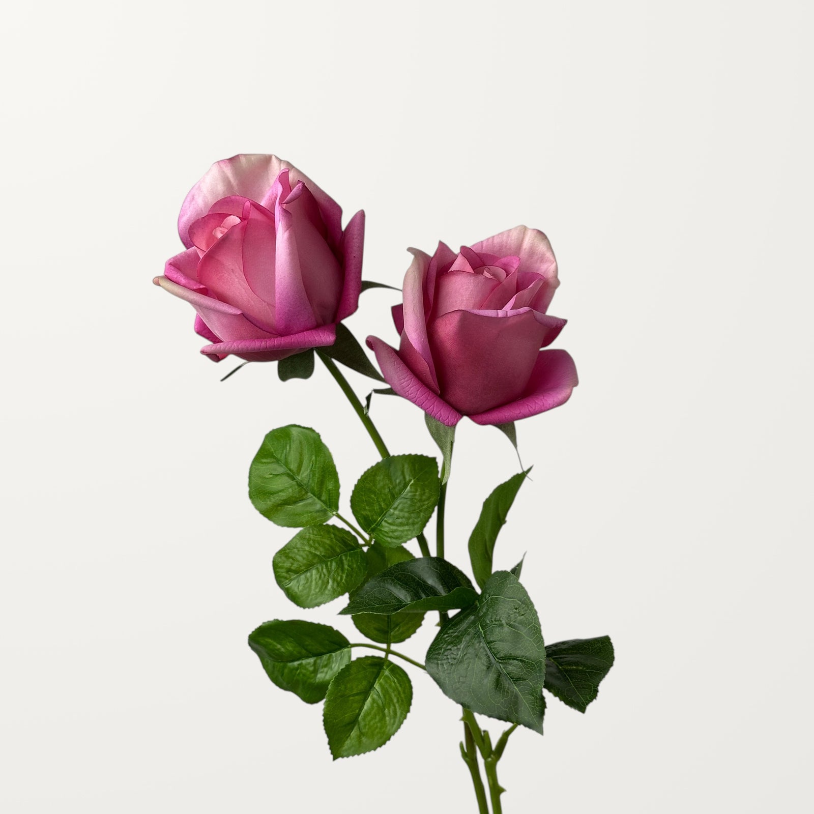 Hybrid Tea Rose – Pink (Real Touch) - view 2
