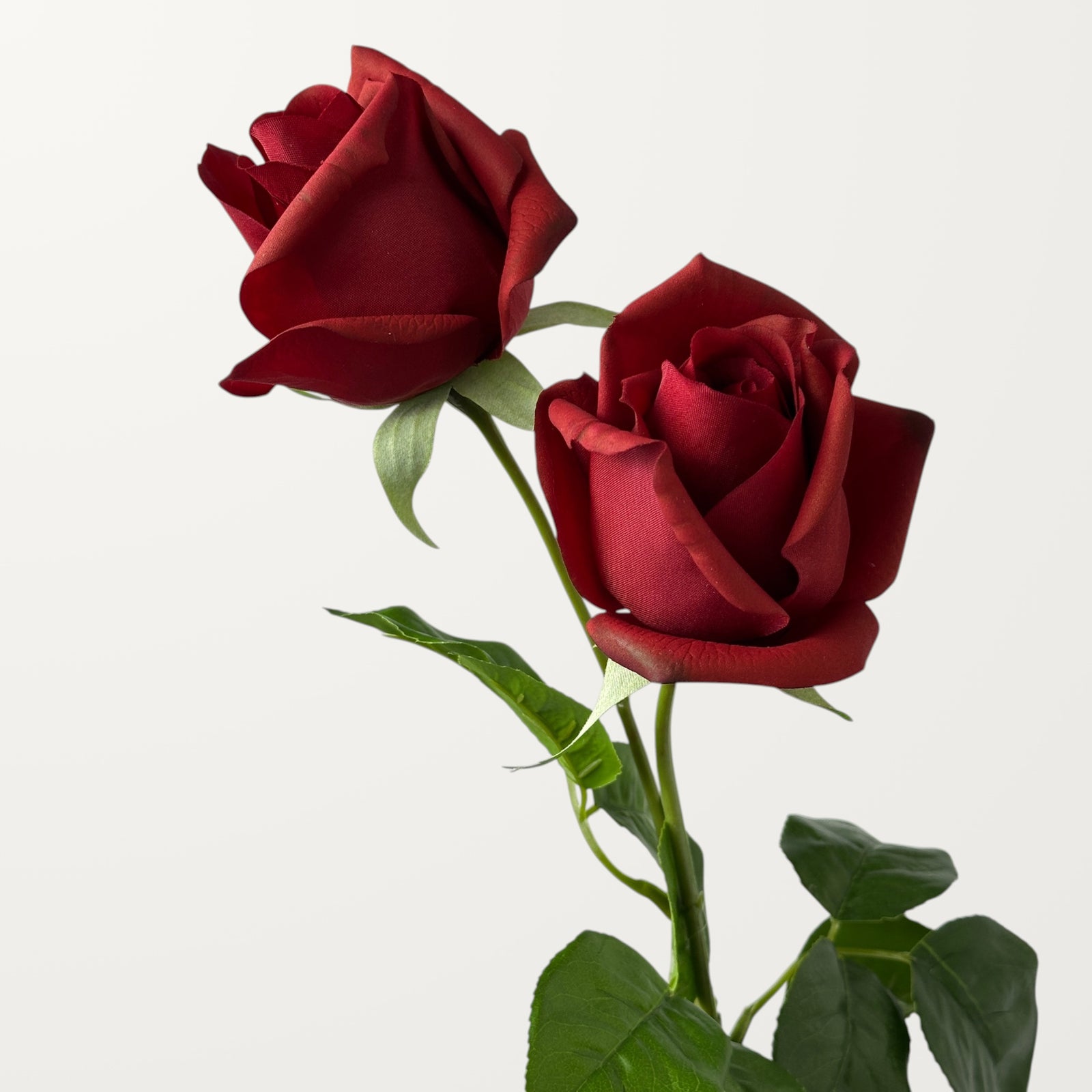 Hybrid Tea Rose – Red (Real Touch) - view 2