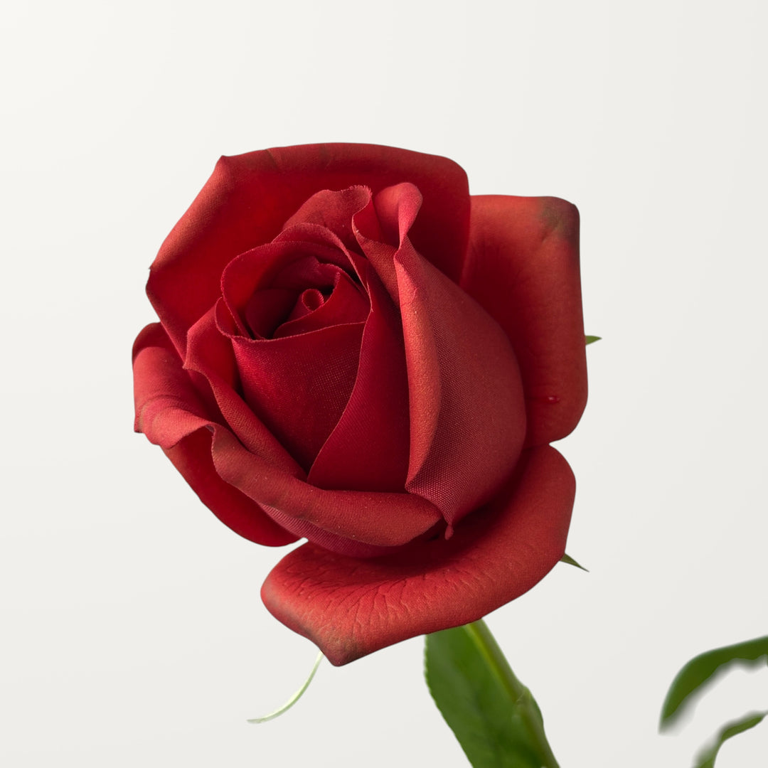 Hybrid Tea Rose – Red (Real Touch)