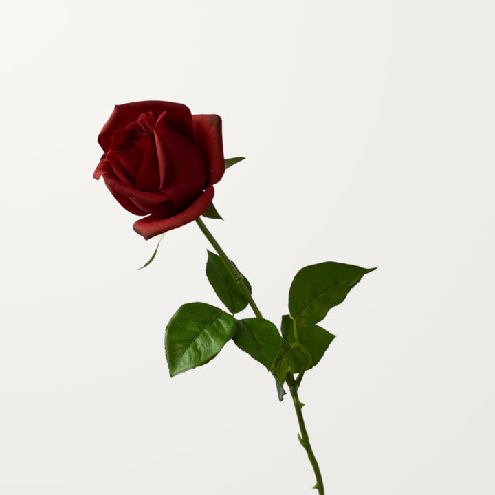 Hybrid Tea Rose – Red (Real Touch) - view 3