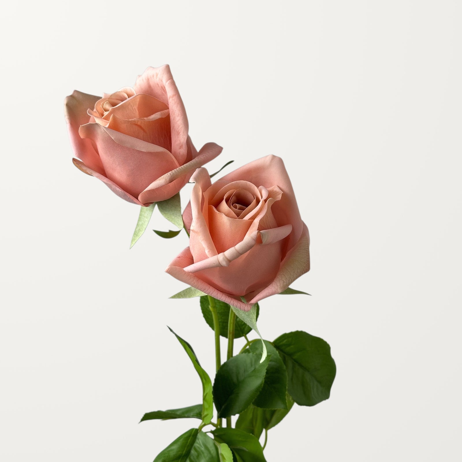 Hybrid Tea Rose – Soft Apricot (Real Touch) - view 2