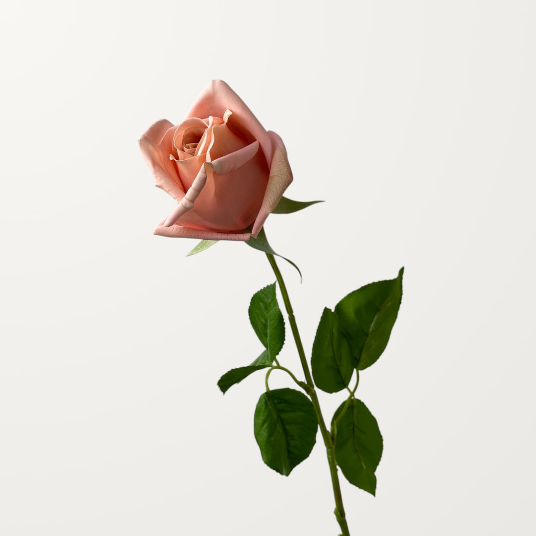 Hybrid Tea Rose – Soft Apricot (Real Touch) - view 3