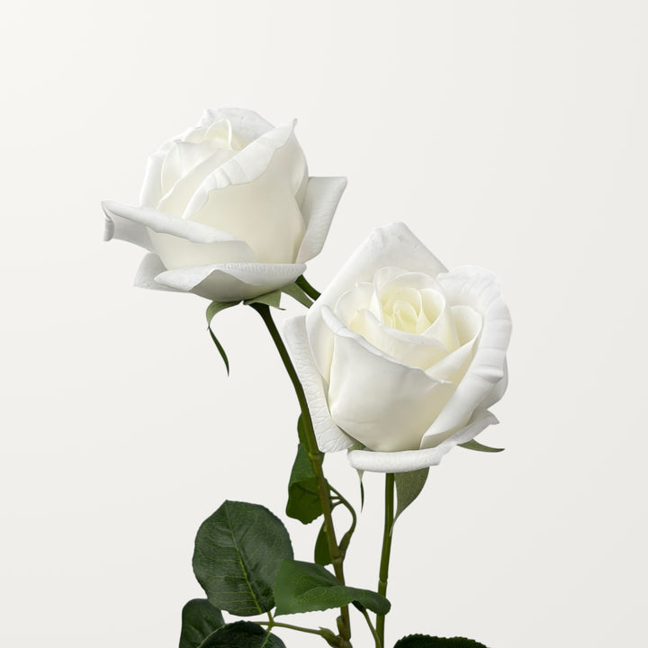 Hybrid Tea Rose – White (Real Touch) - view 2