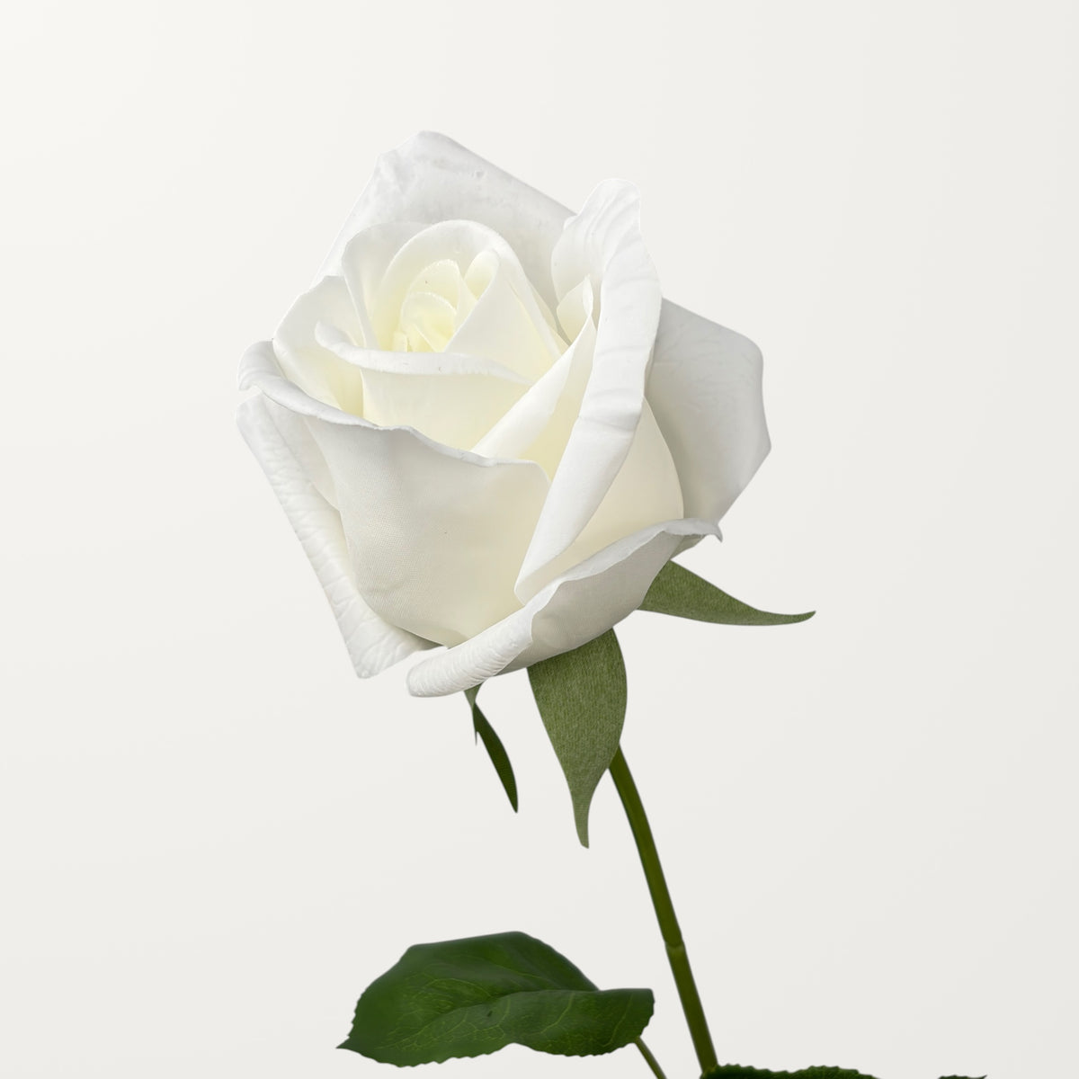 Hybrid Tea Rose – White (Real Touch)