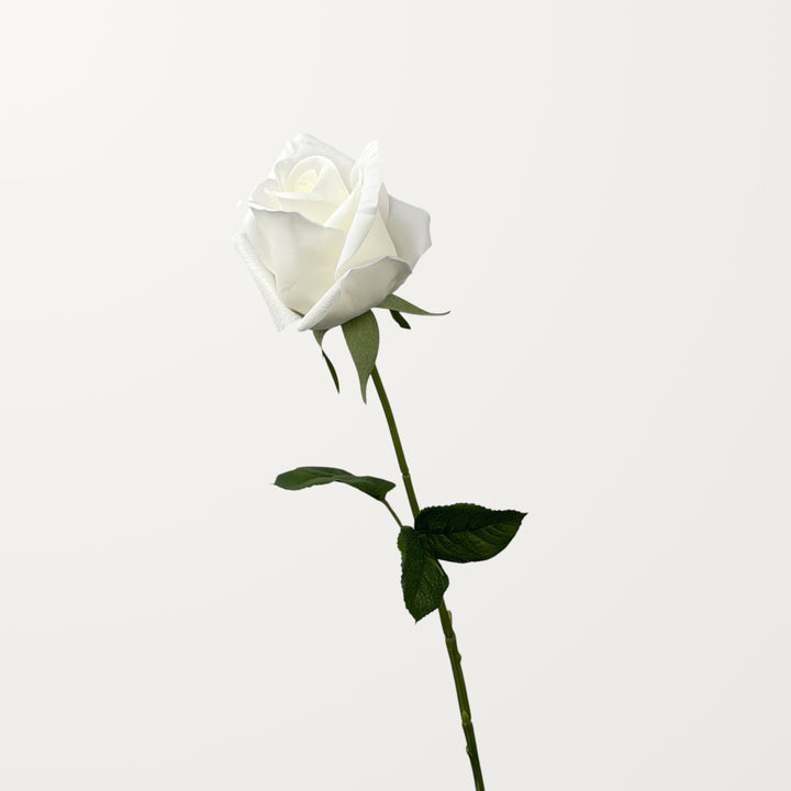 Hybrid Tea Rose – White (Real Touch) - view 3